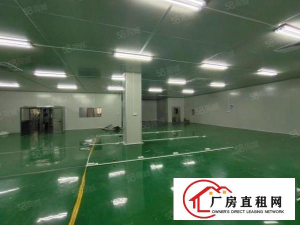  东城新出一楼厂房650平方有豪华装修，天花吊顶地坪漆可办环评