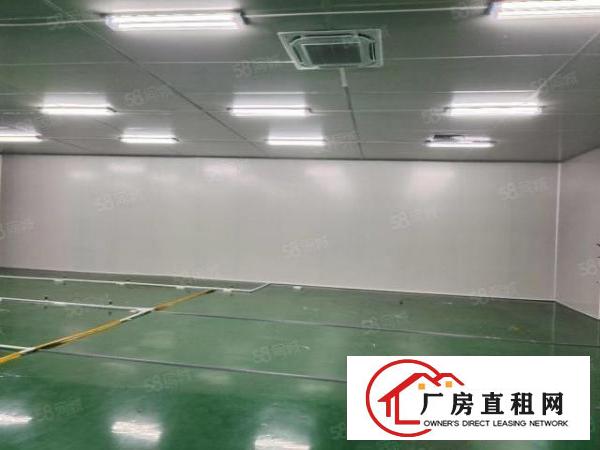  东城新出一楼厂房650平方有豪华装修，天花吊顶地坪漆可办环评
