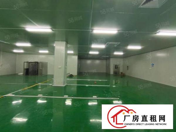  东城新出一楼厂房650平方有豪华装修，天花吊顶地坪漆可办环评