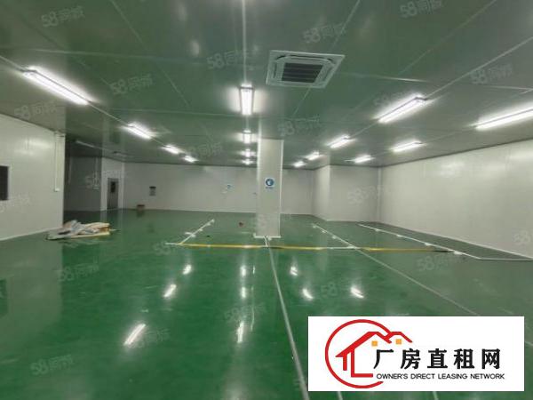  东城新出一楼厂房650平方有豪华装修，天花吊顶地坪漆可办环评