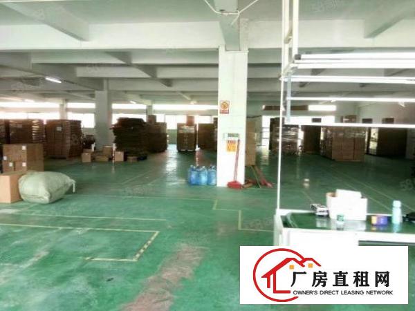  东城厂房出租500平800平，1000平可分租，租金便宜