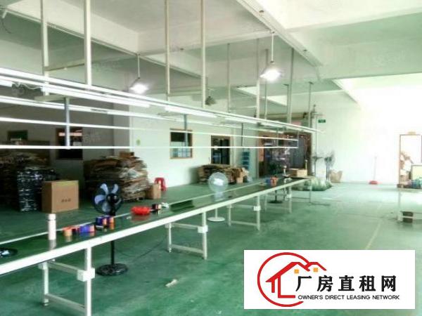  东城厂房出租500平800平，1000平可分租，租金便宜