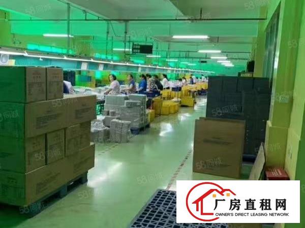  东城厂房出租500平800平，1000平可分租，租金便宜