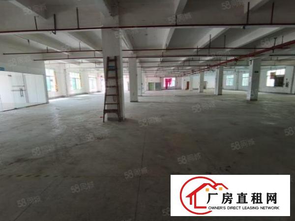  东城新出低价厂房出租二楼三楼各1900平，水电齐全，租10元