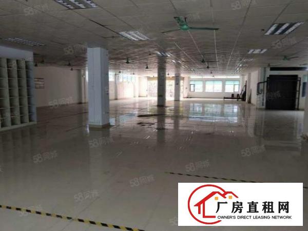  东城新出2楼厂房1200平方，豪华装修，价格好谈！