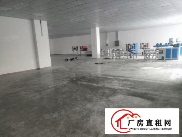  温塘工业区新出一楼900平带精装修办公室18块全包