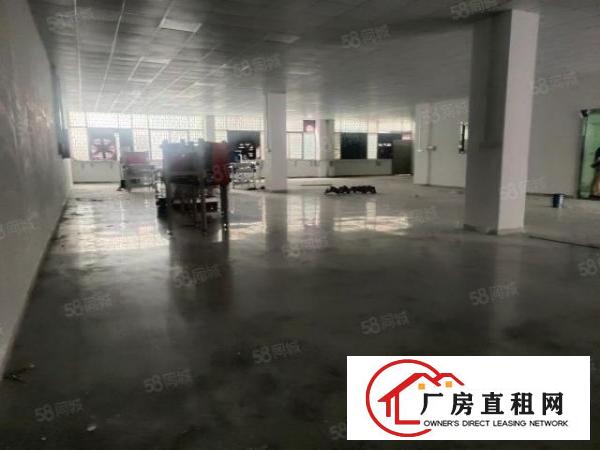  温塘工业区新出一楼900平带精装修办公室18块全包