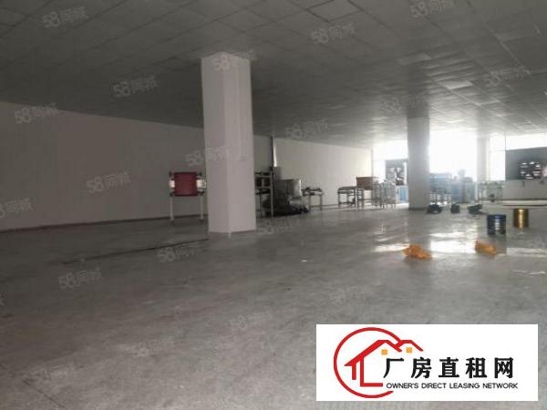  温塘工业区新出一楼900平带精装修办公室18块全包