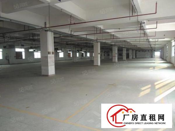  东城桑园一楼，二楼，三楼每层3600平方，院子宽敞