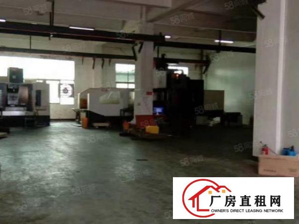 急！东城原房东350平600平800平方厂房出租，租金便宜