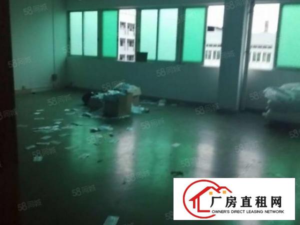  东城周屋新出厂房677平，水电齐全，价格实惠，带现成装修
