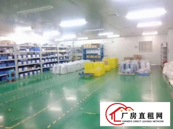  牛山新出楼上精装修1800平15元全包