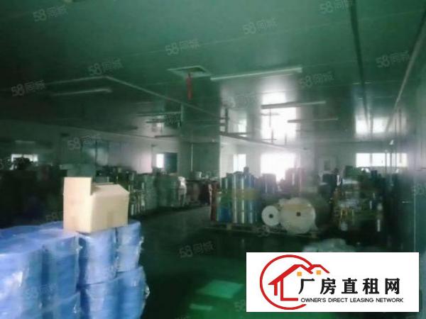  牛山新出楼上精装修1800平15元全包