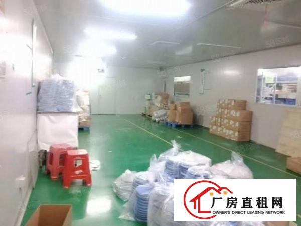  牛山新出楼上精装修1800平15元全包