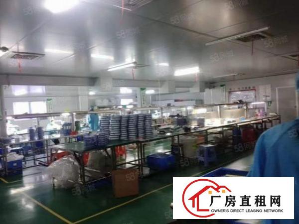  牛山新出楼上精装修1800平15元全包