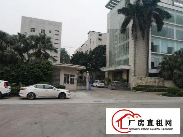  牛山新出楼上精装修1800平15元全包