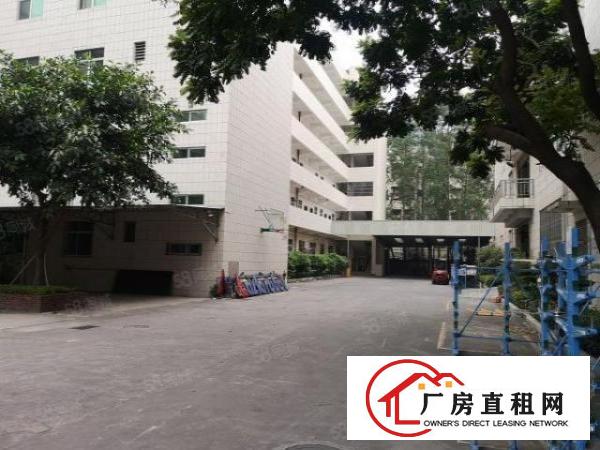  牛山新出楼上精装修1800平15元全包