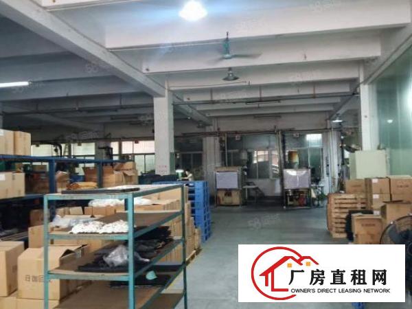  原房东独门独院出租可办理环评交通方便一楼有地坪漆二楼办公室