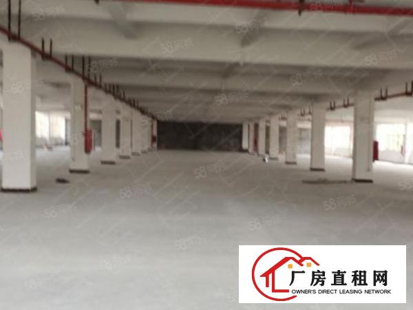  同沙高新科技园5800平方火爆招商,地理位置好，面积按需！