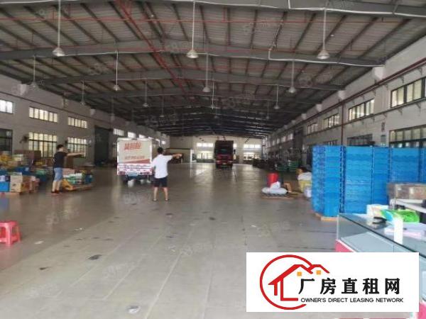  东城周屋工业区租客出租独栋铁皮700方滴6.5米