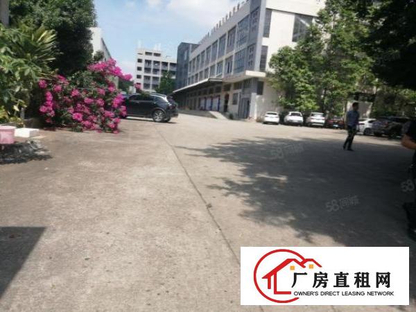  东城超靓的厂房原房东12000平有卸货平台和喷淋消防