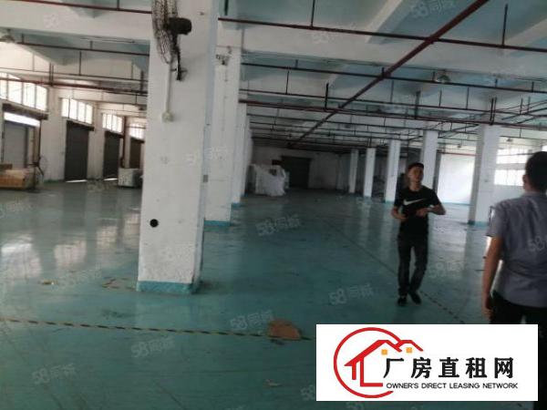  东城超靓的厂房原房东12000平有卸货平台和喷淋消防