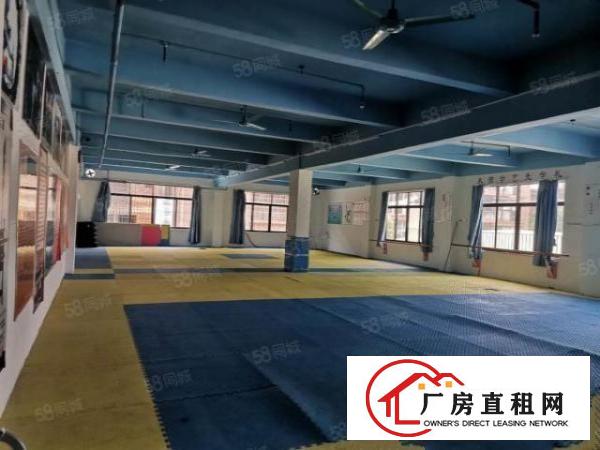  东城石井独院厂房1楼638，2楼500，4楼600，大小可分
