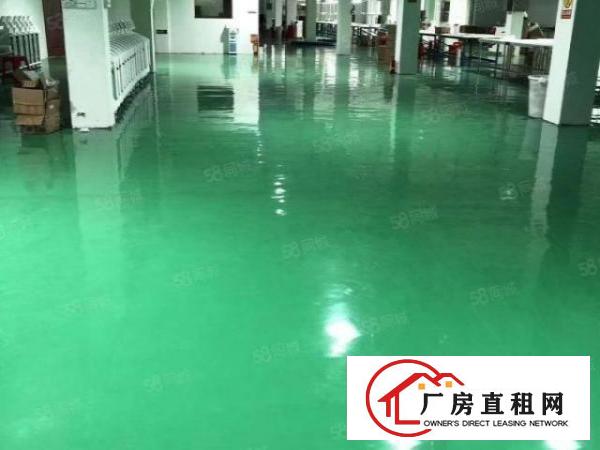  东城温塘大马路边楼房一楼876平和一楼582平便宜出租有装修