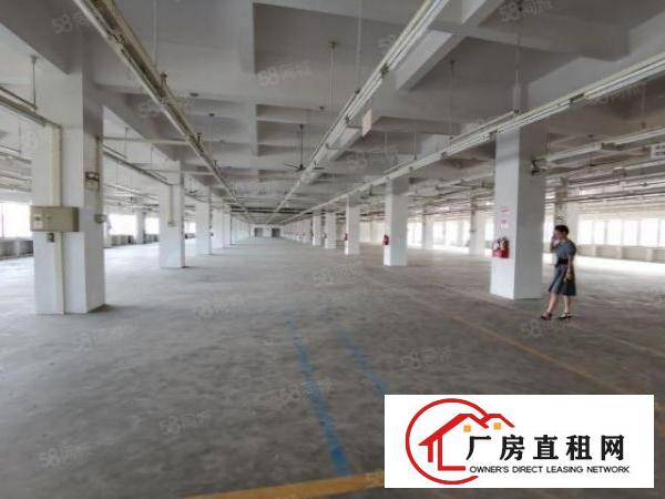  东城新出一楼二楼水电齐全厂房出租，每层4750平可分租，便宜