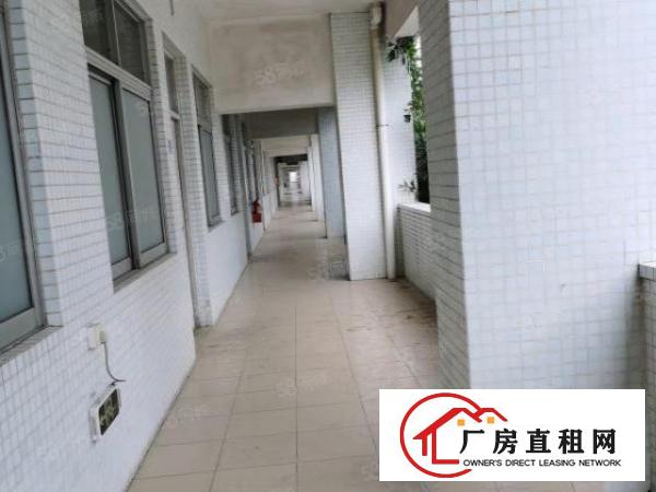  东城新出一楼二楼水电齐全厂房出租，每层4750平可分租，便宜