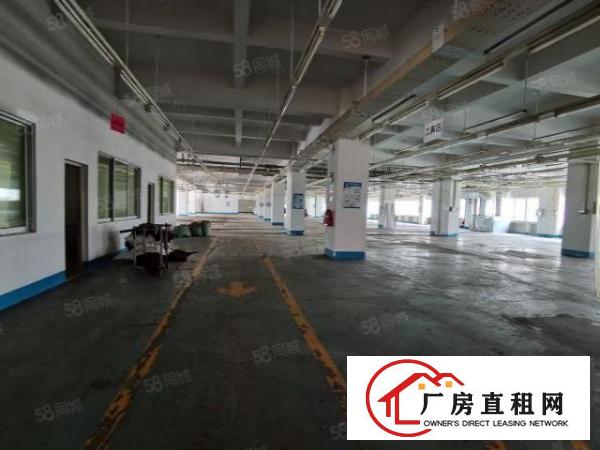  东城新出一楼二楼水电齐全厂房出租，每层4750平可分租，便宜