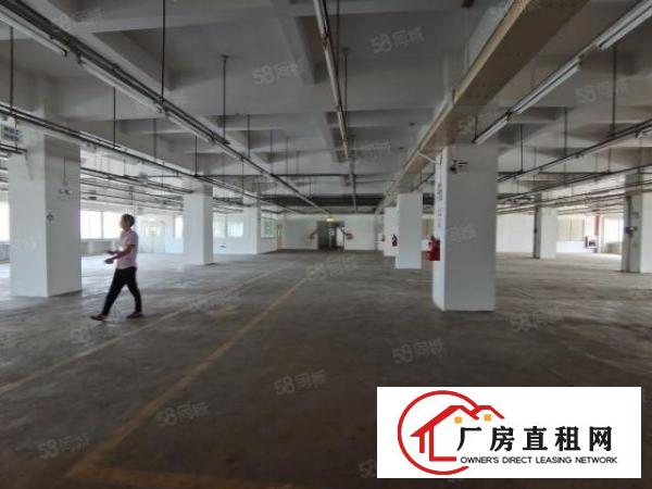 东城新出一楼二楼水电齐全厂房出租，每层4750平可分租，便宜