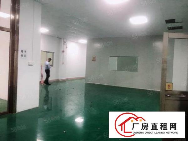  东城温塘新出一楼650平无尘车间