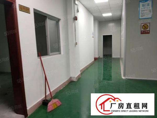  温塘新出原房东一楼实际面积880平带600平无尘车间