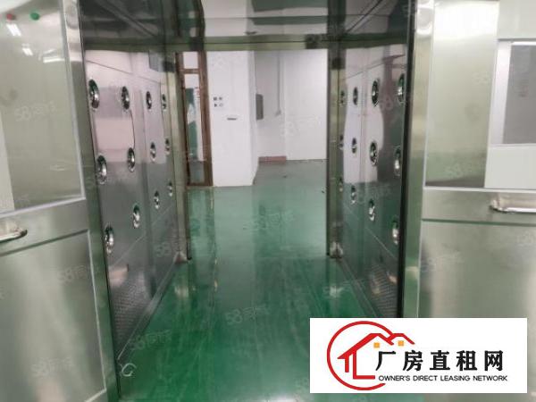  温塘新出原房东一楼实际面积880平带600平无尘车间