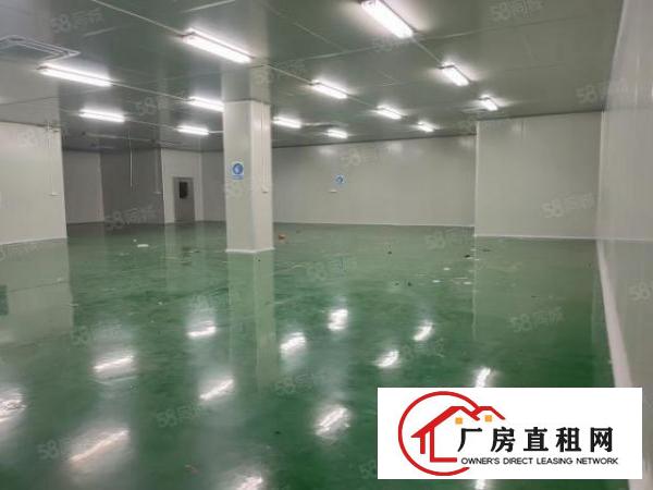  温塘新出原房东一楼实际面积880平带600平无尘车间