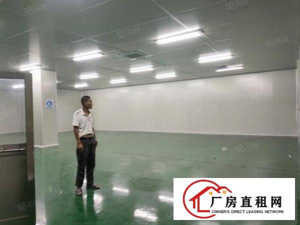  温塘新出原房东一楼实际面积880平带600平无尘车间