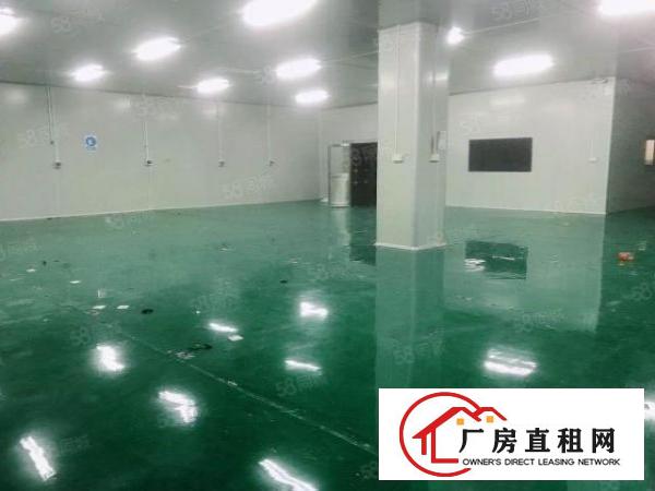  东城温塘新出一楼650平无尘车间