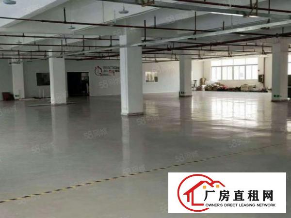  温塘桑园一楼标准厂房出租