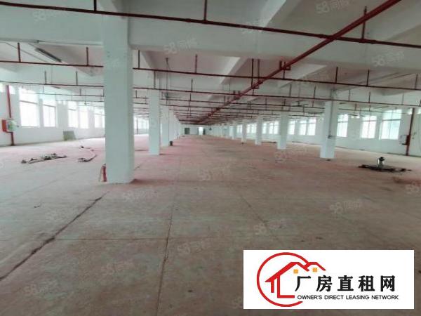  东城新出独门独院厂房出租10140平，可分租，厂房真实图片