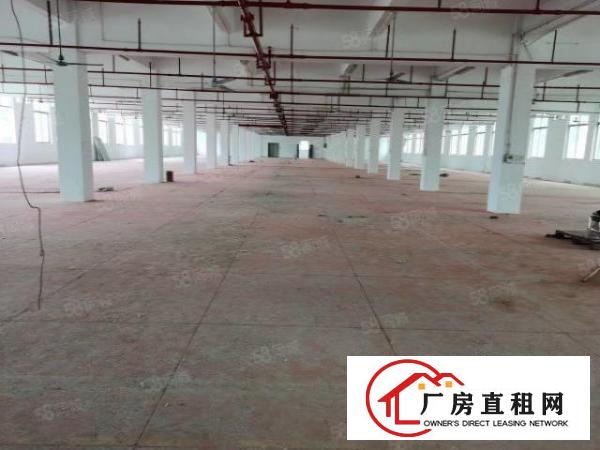  东城新出独门独院厂房出租10140平，可分租，厂房真实图片
