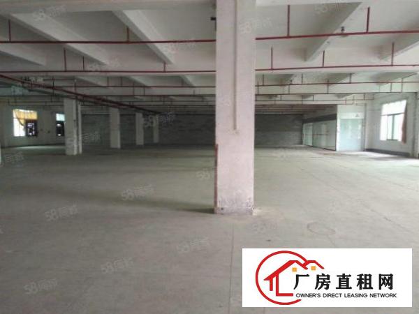  东城园区厂房二楼，三楼各1900平方，有部分办公室，价钱便宜