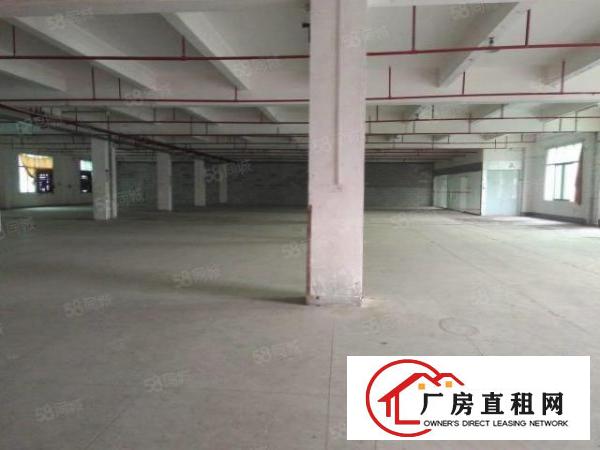  东城园区厂房二楼，三楼各1900平方，有部分办公室，价钱便宜