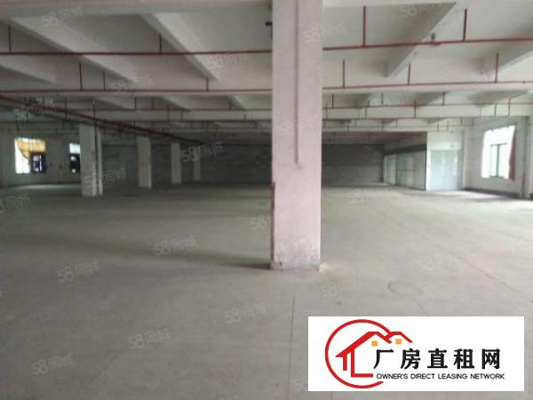  东城园区厂房二楼，三楼各1900平方，有部分办公室，价钱便宜
