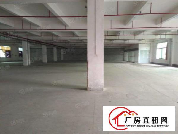  东城园区厂房二楼，三楼各1900平方，有部分办公室，价钱便宜