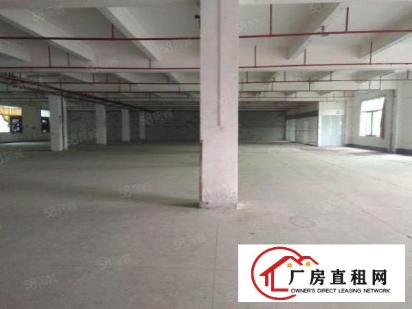  东城园区厂房二楼，三楼各1900平方，有部分办公室，价钱便宜