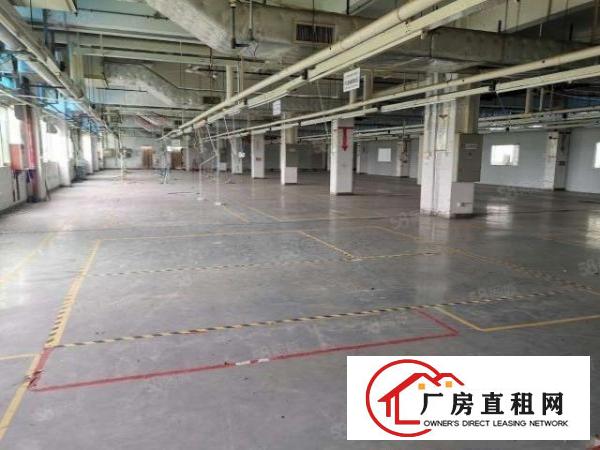  东莞市东城区厂房总面积27125平，可分俩独院。