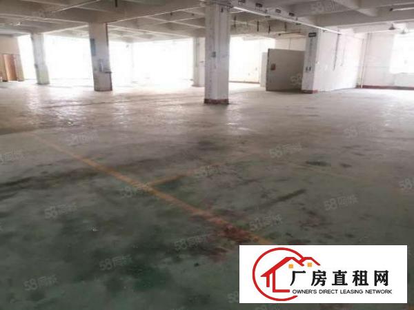  东城桑园带地坪漆标准独院厂房分租800平方现成装修
