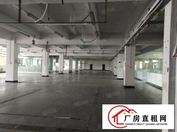  温塘桑园标准一楼带装修厂房出租可办环评