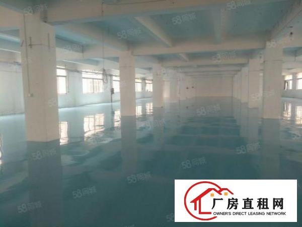  东城桑园工业区1700平方米全新装修的厂房13元拎包入住
